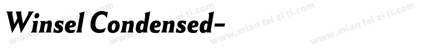 Winsel Condensed字体转换